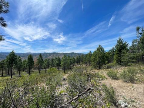 0 Potato Creek A3 Entiat WA 98822