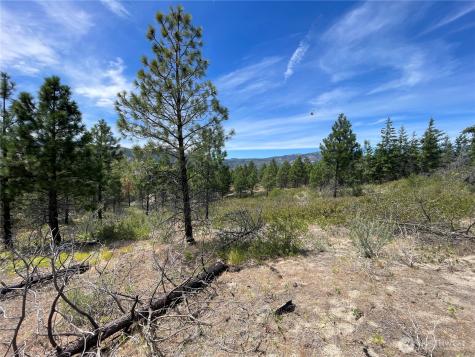 0 Potato Creek A3 Entiat WA 98822