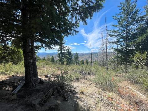 0 Potato Creek A3 Entiat WA 98822