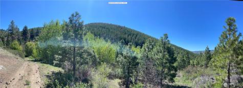 0 Potato Creek A3 Entiat WA 98822