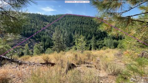 0 Potato Creek A3 Entiat WA 98822