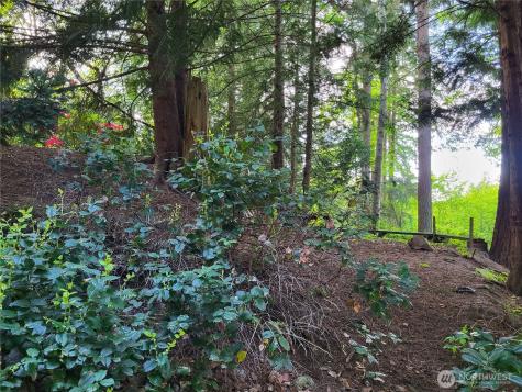 6308 NE 151st Street Kenmore WA 98028