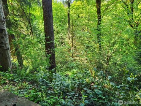 6308 NE 151st Street Kenmore WA 98028