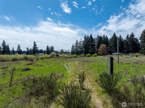 18215 SW Sargent Road Rochester WA 98579