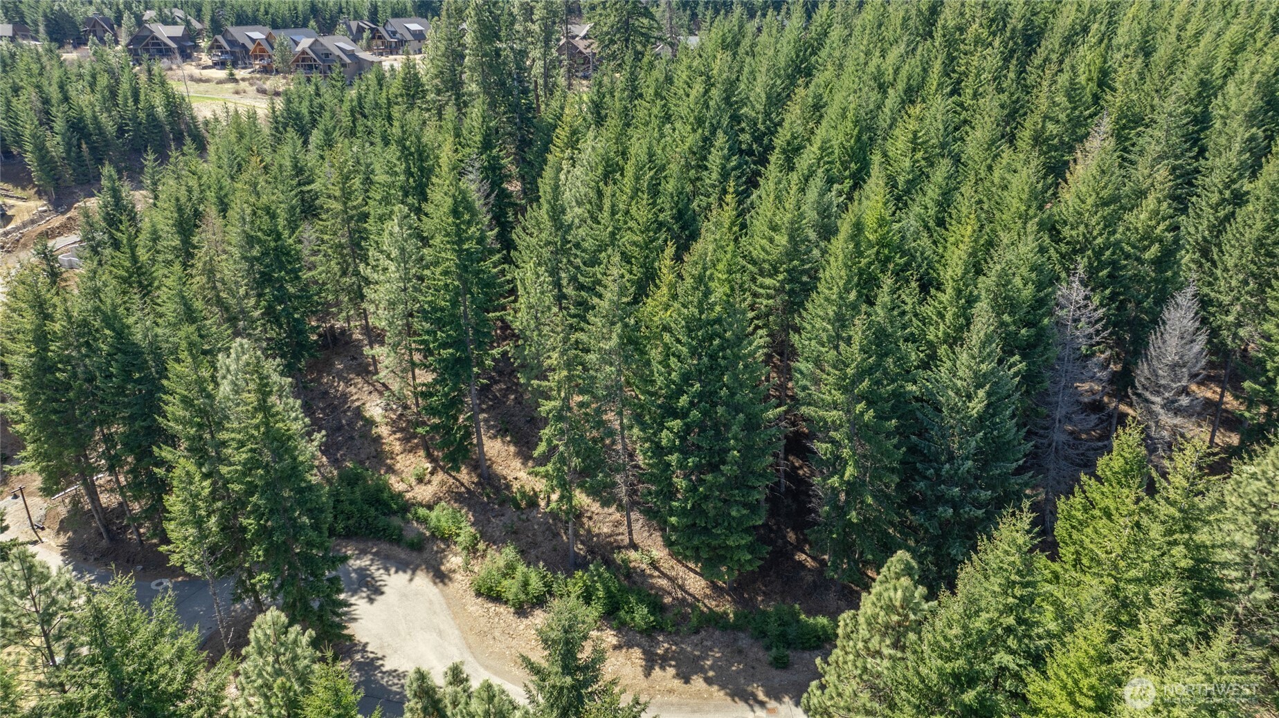 220 Tired Creek Lane Cle Elum WA 98922