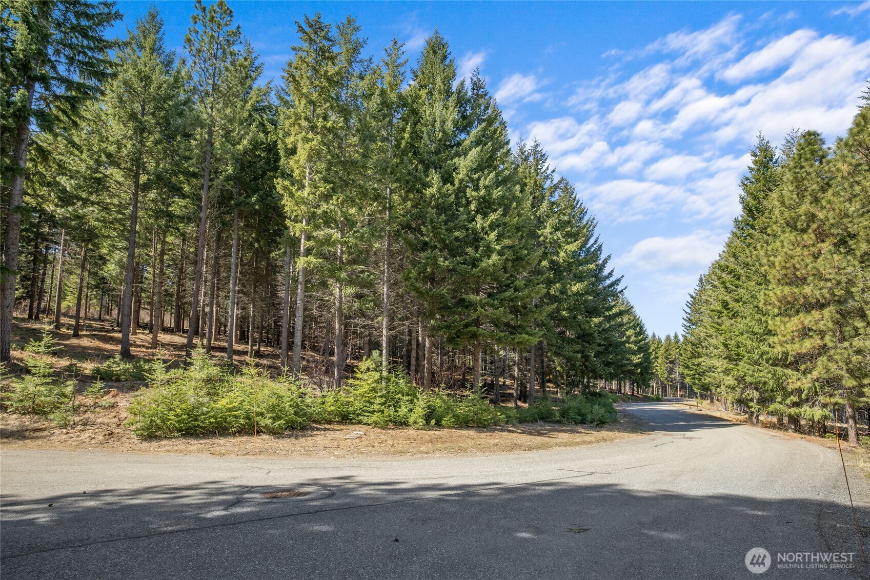 220 Tired Creek Lane Cle Elum WA 98922