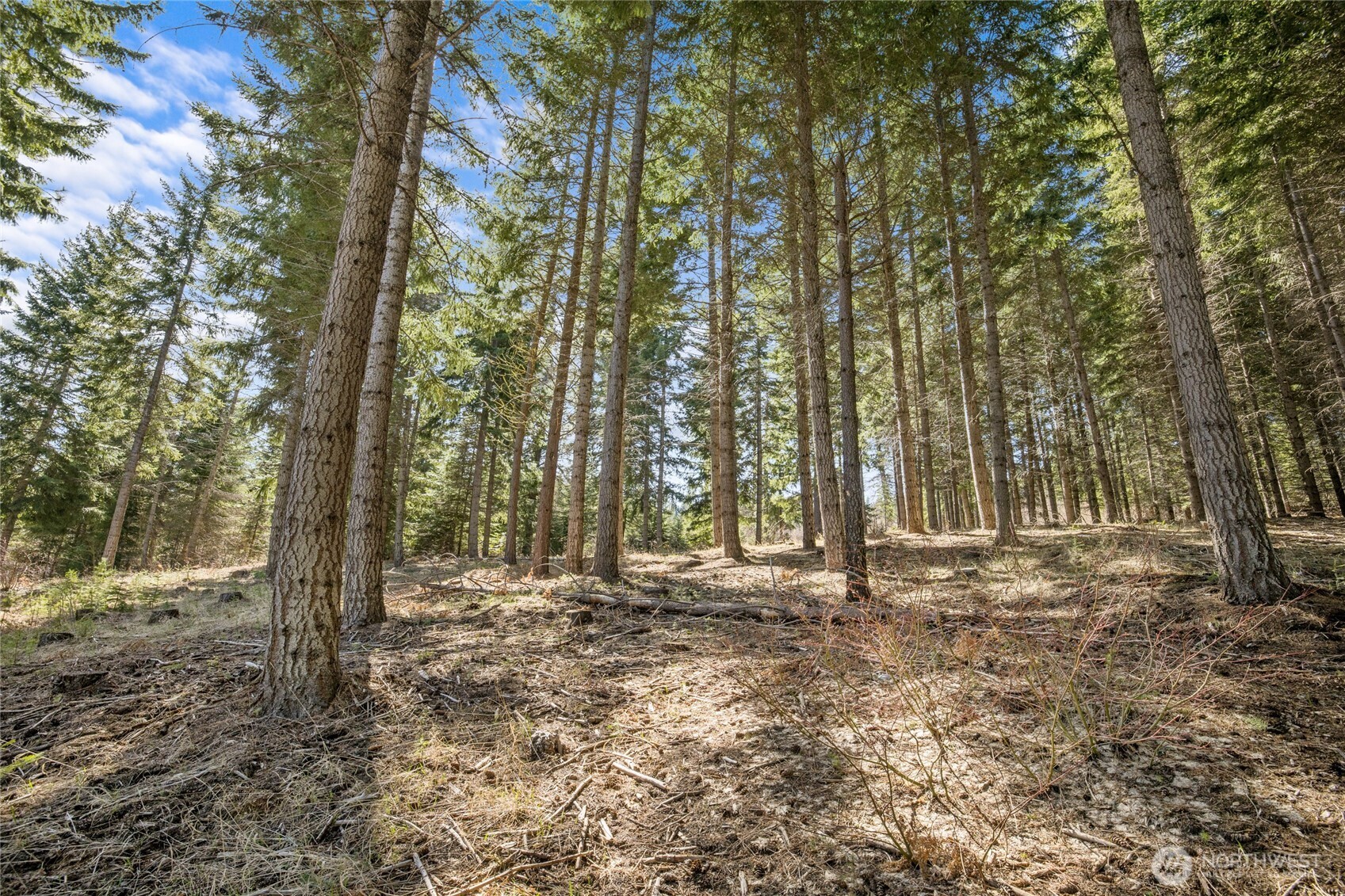220 Tired Creek Lane Cle Elum WA 98922