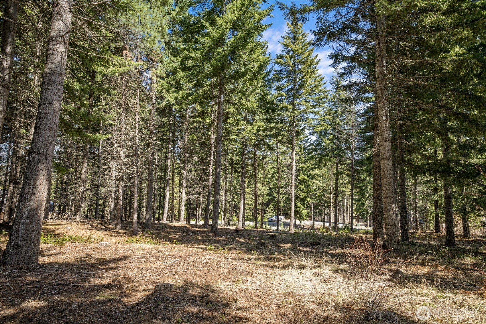 220 Tired Creek Lane Cle Elum WA 98922