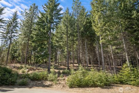 220 Tired Creek Lane Cle Elum WA 98922