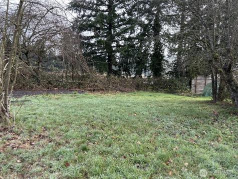 0 Pioneer Avenue Castle Rock WA 98611