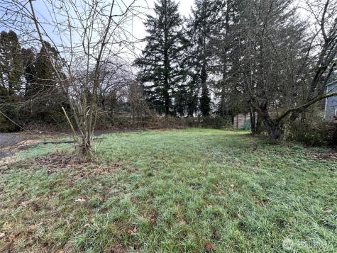 0 Pioneer Avenue Castle Rock WA 98611