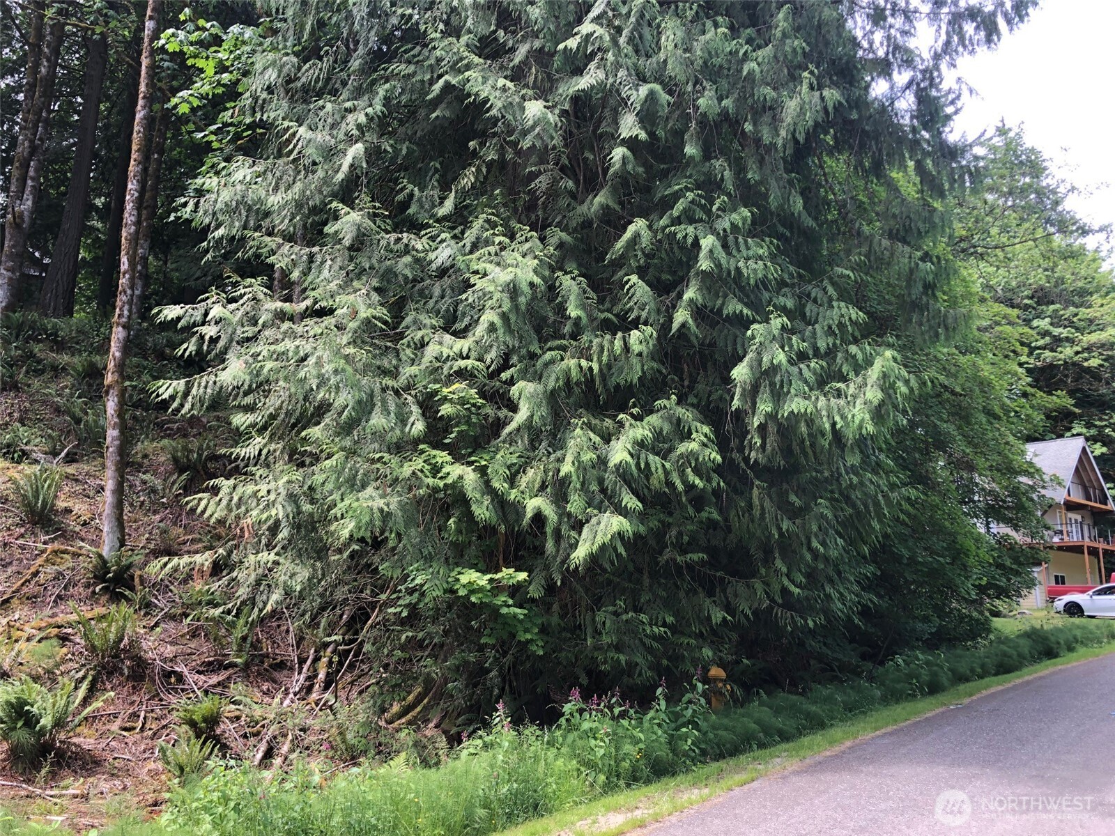 8 Twin Flower Circle Bellingham WA 98229