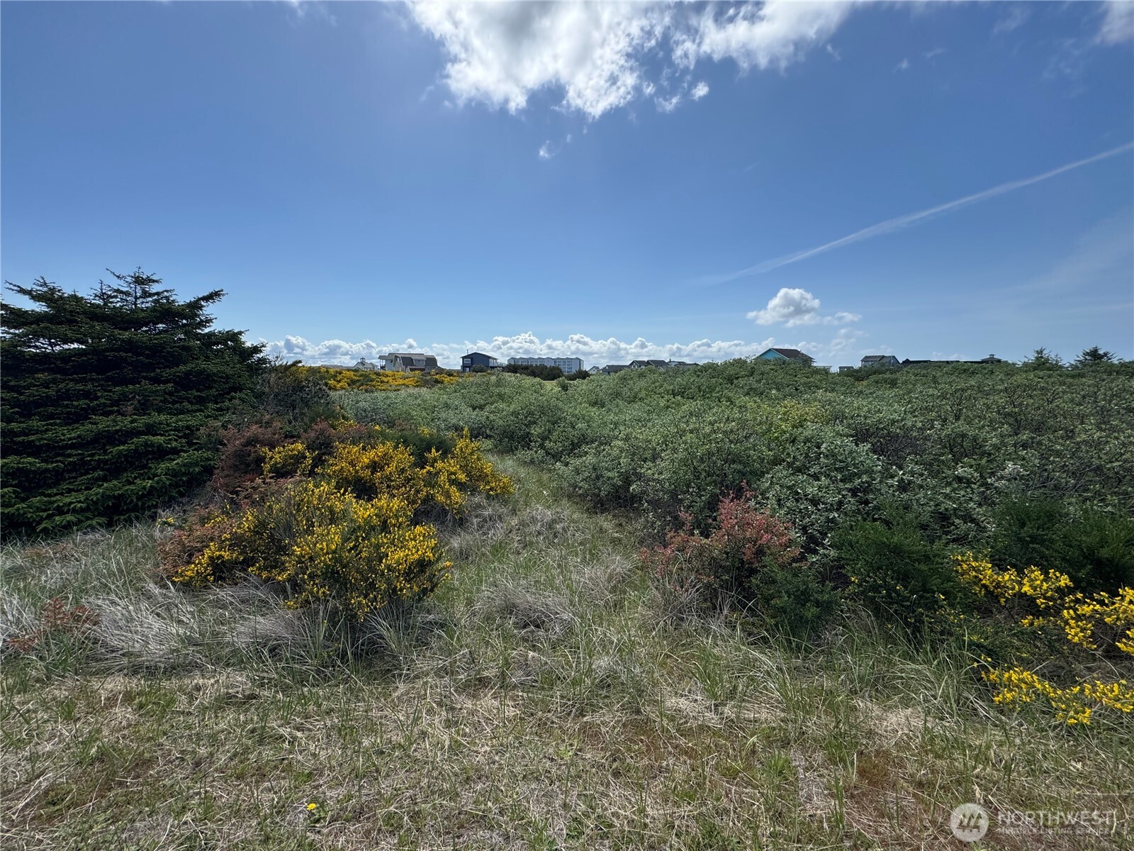 421 S Portal Loop SW Ocean Shores WA 98569