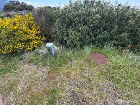 421 S Portal Loop SW Ocean Shores WA 98569