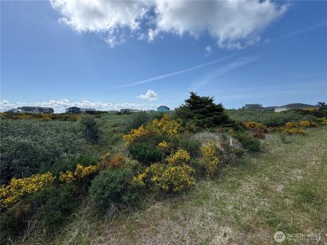 421 S Portal Loop SW Ocean Shores WA 98569