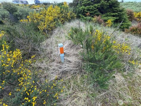 421 S Portal Loop SW Ocean Shores WA 98569