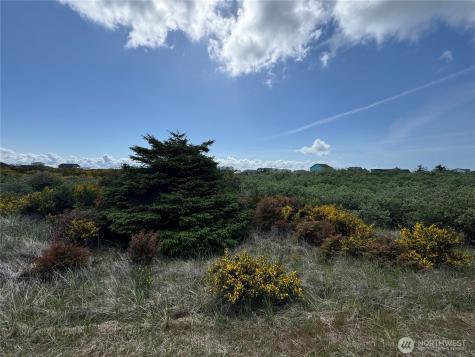421 S Portal Loop SW Ocean Shores WA 98569