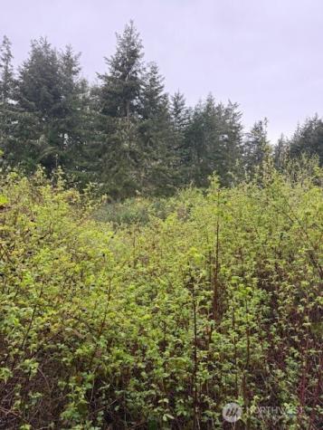 5 30th Street Port Townsend WA 98368