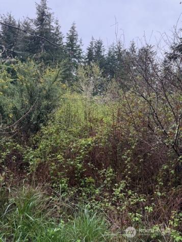 5 30th Street Port Townsend WA 98368