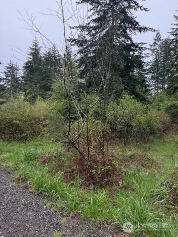 5 30th Street Port Townsend WA 98368