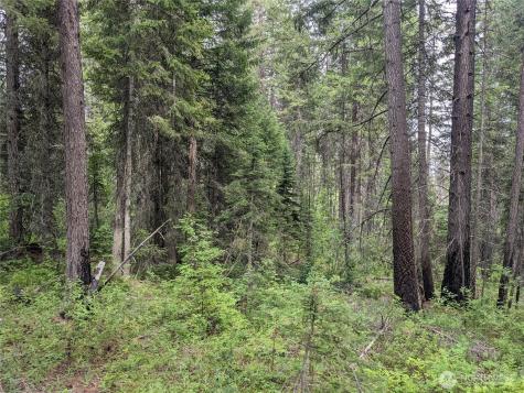 0 Bia Road Nespelem WA 99155