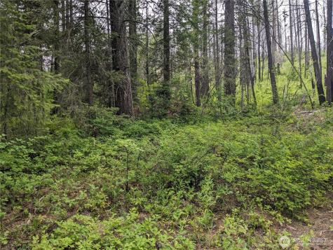0 Bia Road Nespelem WA 99155