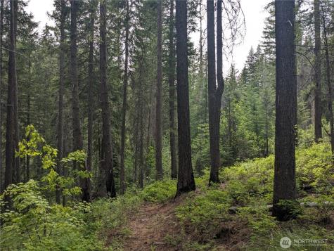 0 Bia Road Nespelem WA 99155