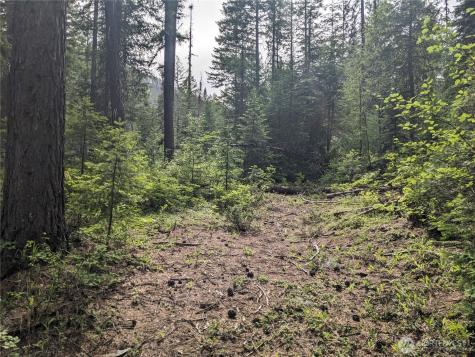 0 Bia Road Nespelem WA 99155