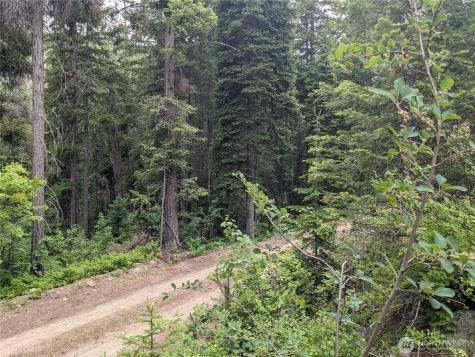 0 Bia Road Nespelem WA 99155