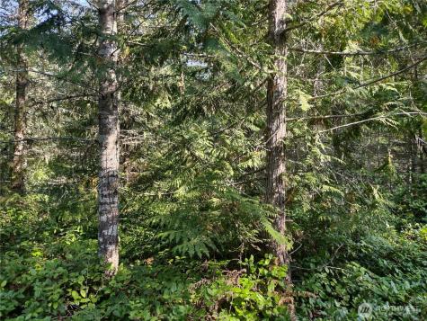 0 Blue Valley Road Port Angeles WA 98362