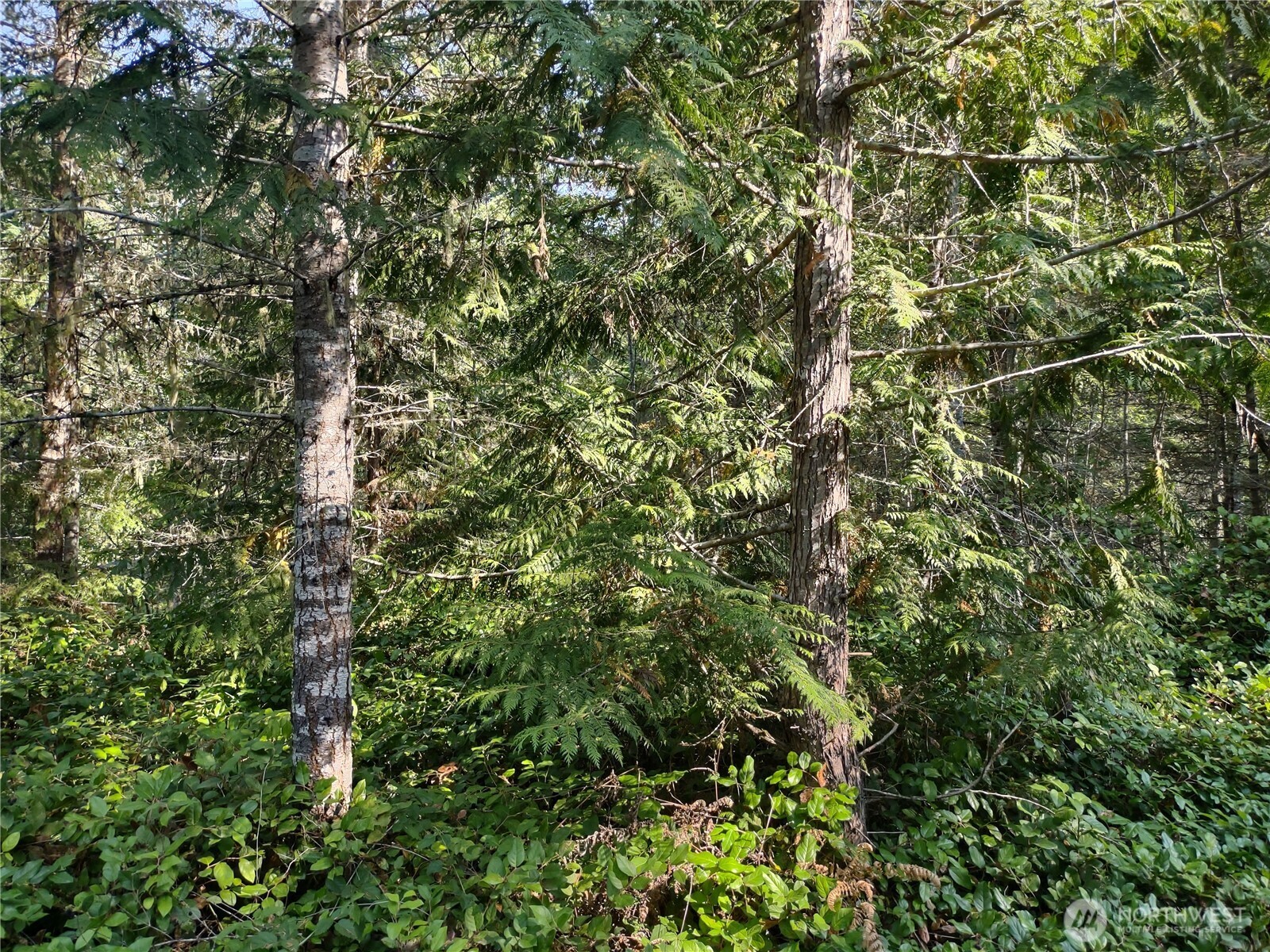 0 Blue Valley Road Port Angeles WA 98362