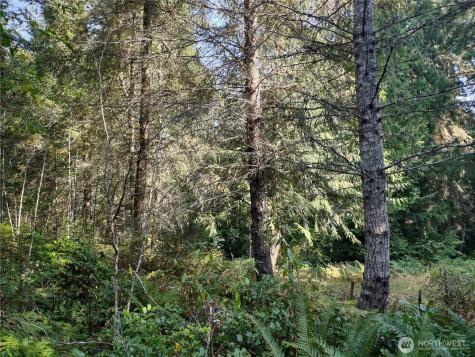 0 Blue Valley Road Port Angeles WA 98362
