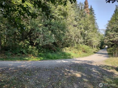 0 Blue Valley Road Port Angeles WA 98362