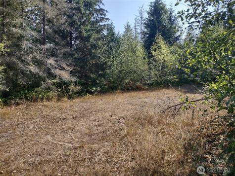 0 Blue Valley Road Port Angeles WA 98362
