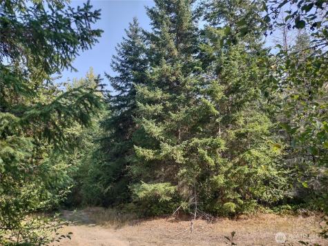 0 Blue Valley Road Port Angeles WA 98362