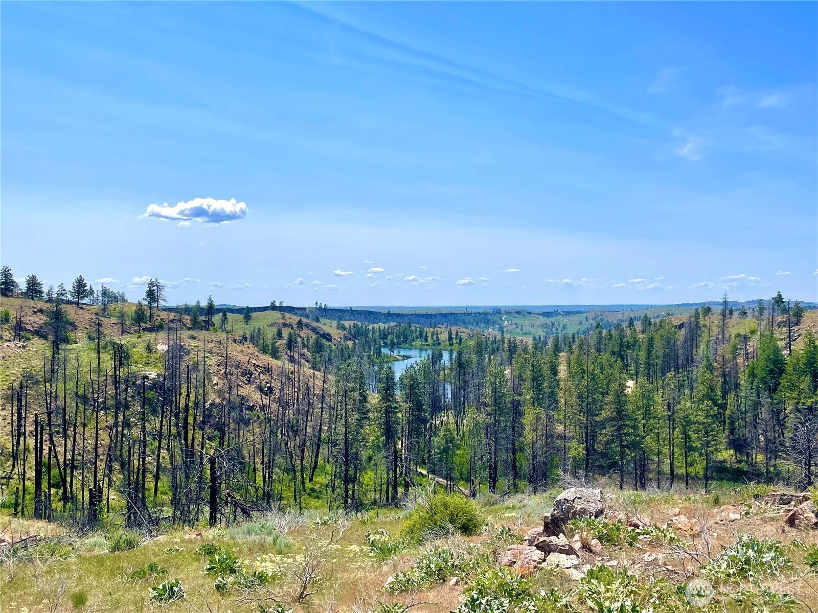 0 Madd Mountain Road Okanogan WA 98840