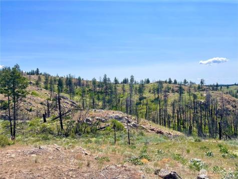 0 Madd Mountain Road Okanogan WA 98840