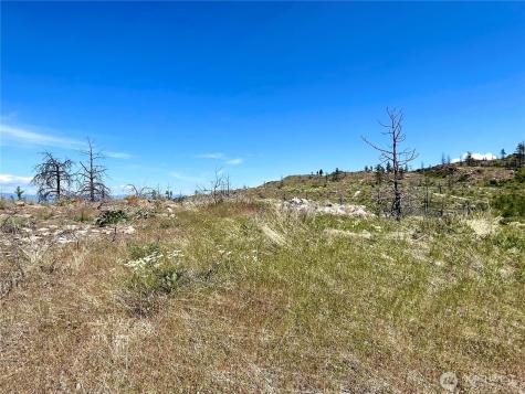 0 Madd Mountain Road Okanogan WA 98840