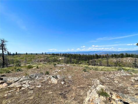 0 Madd Mountain Road Okanogan WA 98840