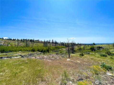 0 Madd Mountain Road Okanogan WA 98840