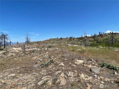 0 Madd Mountain Road Okanogan WA 98840
