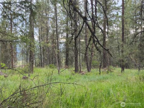 0 Fruitland Valley Road Fruitland WA 99129