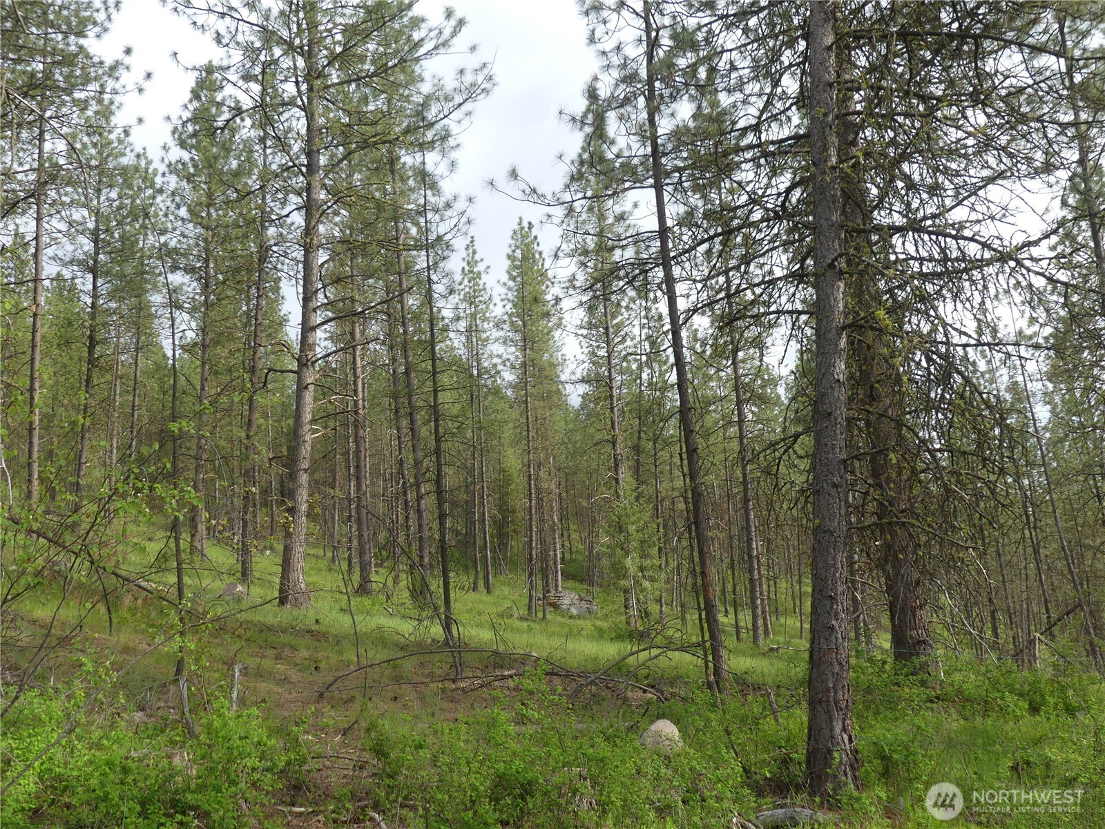 0 Fruitland Valley Road Fruitland WA 99129
