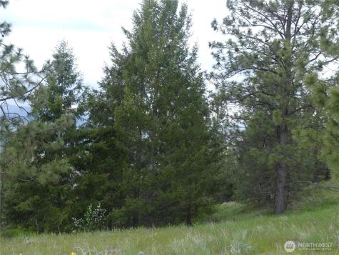 0 Fruitland Valley Road Fruitland WA 99129