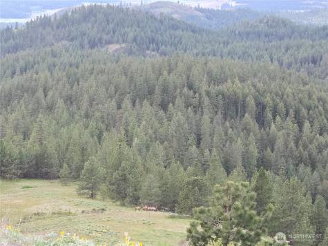 0 Fruitland Valley Road Fruitland WA 99129