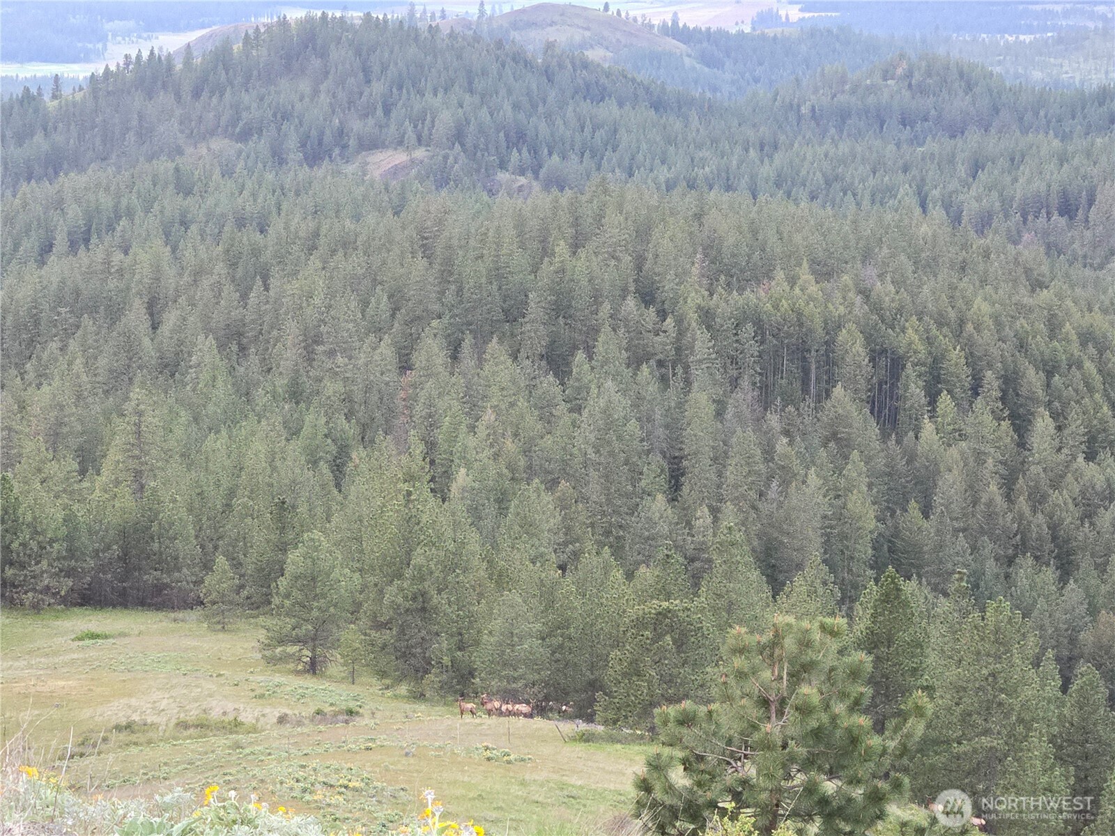 0 Fruitland Valley Road Fruitland WA 99129