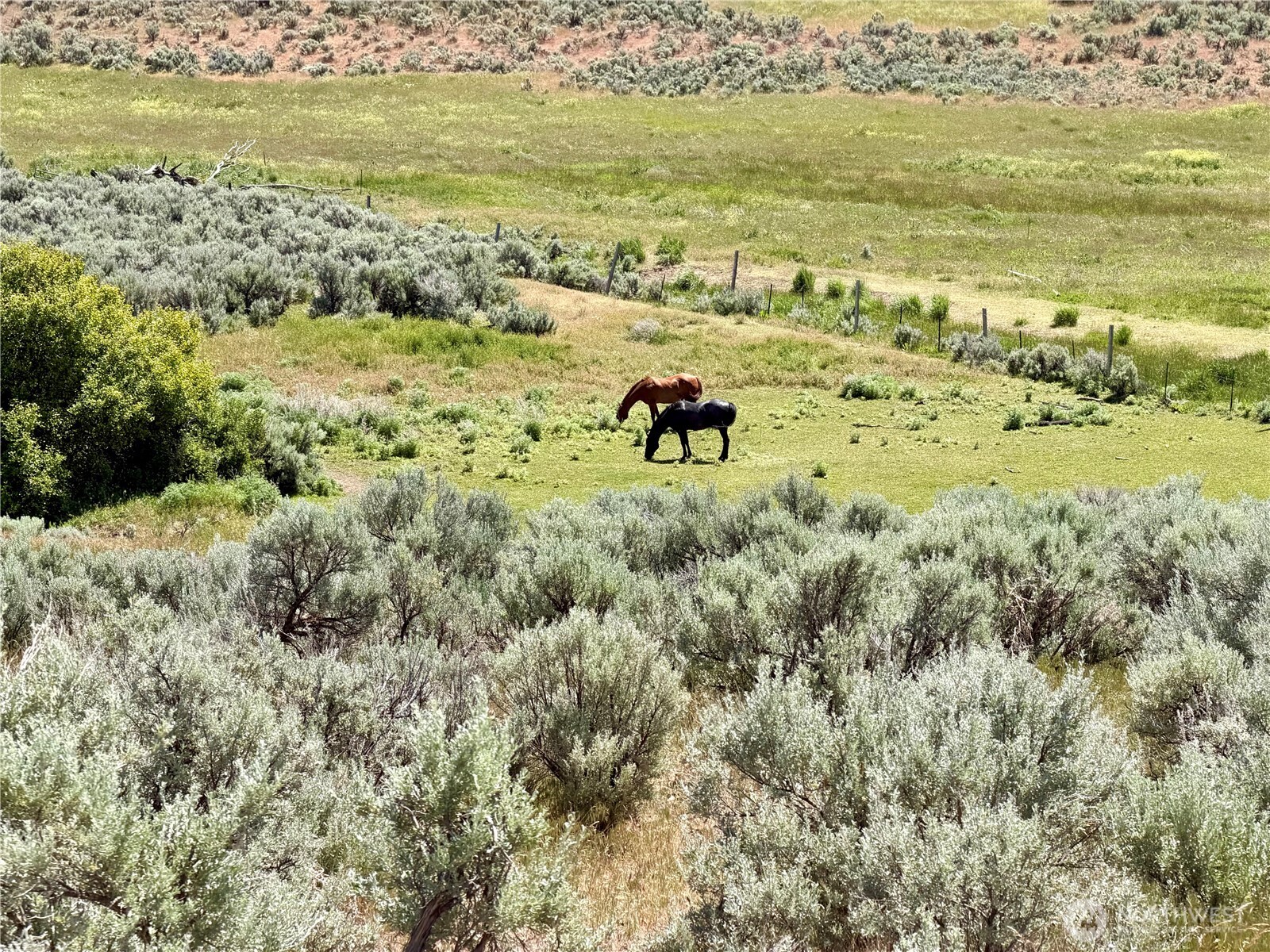 12 Parke Creek Road Ellensburg WA 98926