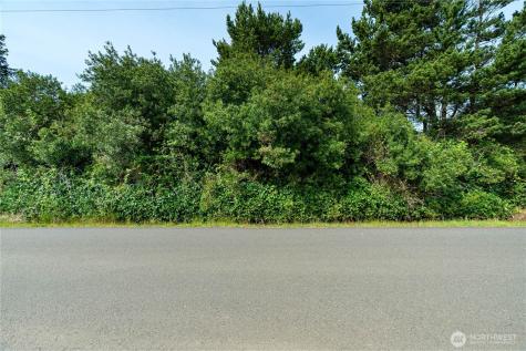 323 Sand Dune Avenue NW Ocean Shores WA 98569