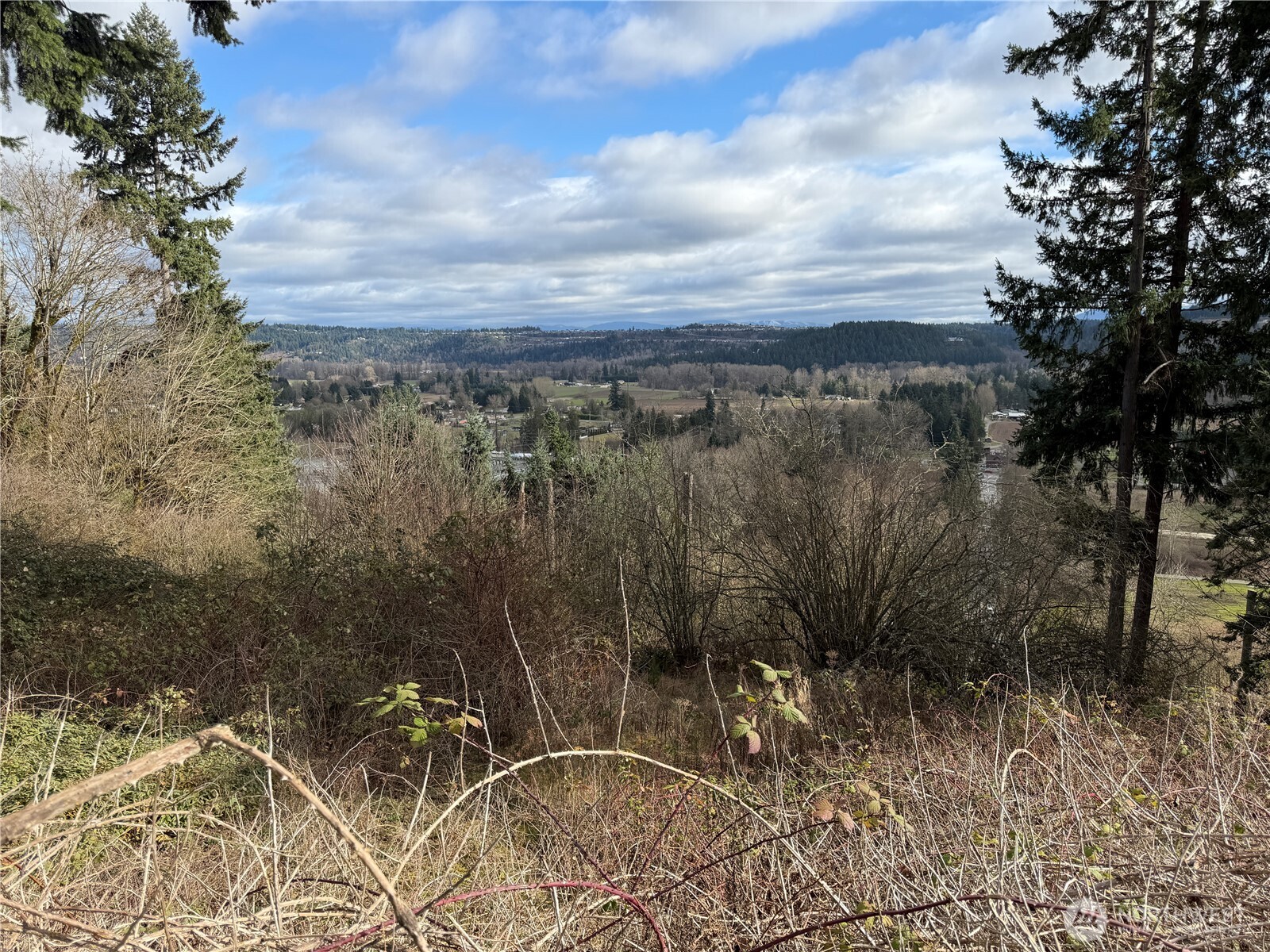 11603 Jennifer Court E Puyallup WA 98374