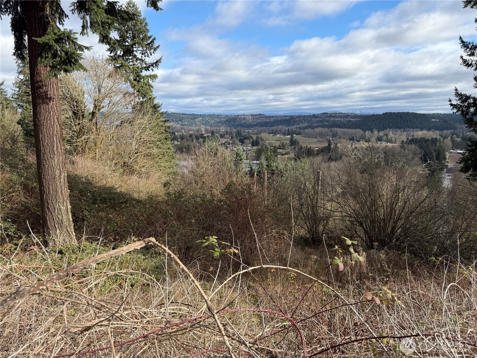 11603 Jennifer Court E Puyallup WA 98374